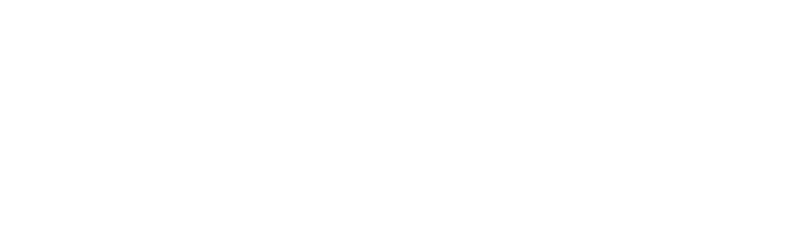 Statement Insurance Agency